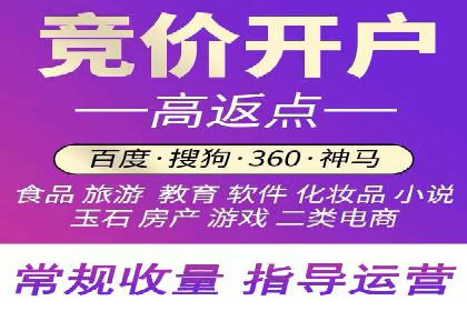抖音信息流代理在电商行业的应用案例分析